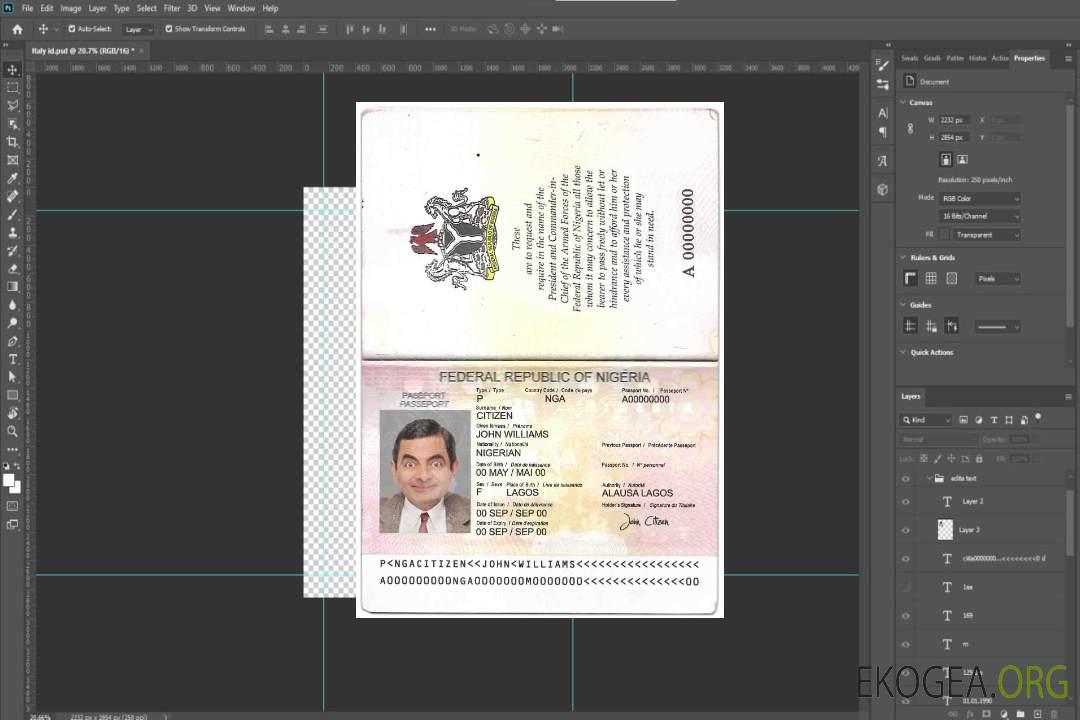 Passeport nigérian (2007-2019) template
